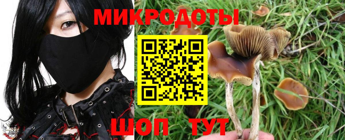 Галлюциногенные грибы Magic Shrooms Азов