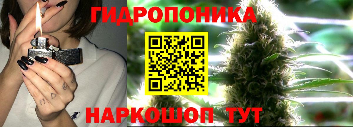 Канабис конопля Азов
